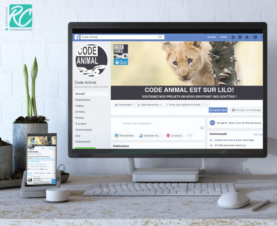 Bannières Réseaux sociaux